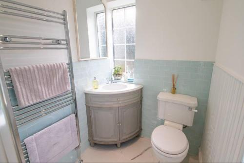 y baño con aseo, lavabo y ducha. en Loke Cottage - Winchelsea Nr Rye, en Winchelsea