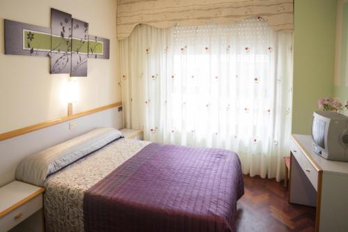 拉科魯尼亞的住宿－水晶1號酒店，一间卧室设有一张床、一台电视和一个窗口。