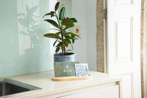 a plant sitting on top of a kitchen counter at Impar luxury residence in Porto