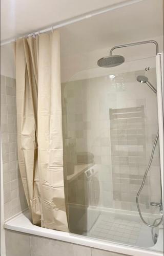 une douche avec une porte vitrée dans une salle de bain dans l'établissement Hypercentre Gare Cathédrale Hortillonnage, à Amiens