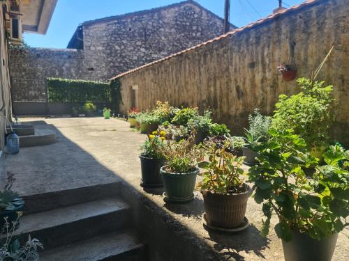 a row of potted plants on the side of a wall at Ori in Podgorica