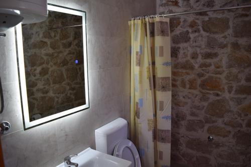ein Bad mit einem WC, einem Waschbecken und einer Dusche in der Unterkunft Kamena Oaza in Stolac