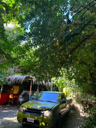 een groene vrachtwagen geparkeerd onder een bos bomen bij Orgánico Punta Riel in Cahuita