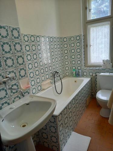 a bathroom with a tub and a sink and a toilet at Vila Kotlářská in Děčín