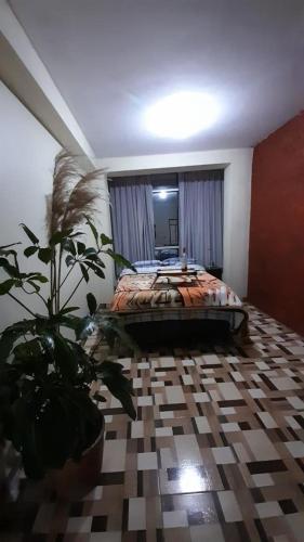 1 dormitorio con 1 cama y una maceta en Inka Home - Ayacucho, en Ayacucho