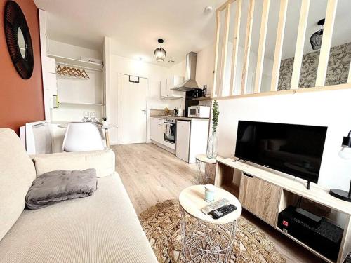 ein Wohnzimmer mit einem Sofa und einem Flachbild-TV in der Unterkunft La Tourmaline Rouge - Romans in Romans-sur-Isère