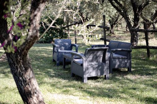 a group of chairs sitting in the grass at Agriturismo Il Pozzo in Casal Velino