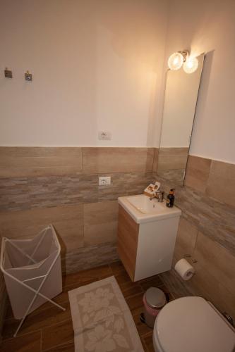 a bathroom with a toilet and a sink and a mirror at Agriturismo L'Istrice di Giò in Montalto di Castro
