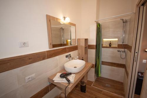 a bathroom with a sink and a mirror at Agriturismo L'Istrice di Giò in Montalto di Castro