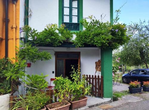 een huis met planten aan de zijkant bij La Casita de Coya 