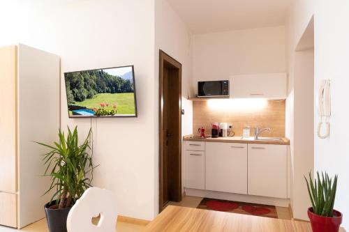 Glunien Apt Johann – Photos 3