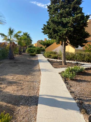 un trottoir devant un bâtiment avec un arbre dans l'établissement Résidence les 4 soleils, au Cap d'Agde