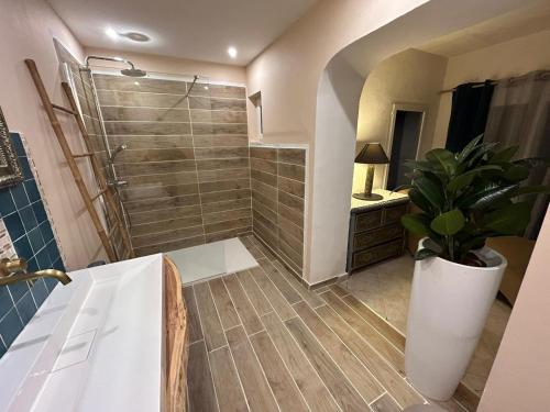 La salle de bains est pourvue d'une douche et d'une plante en pot. dans l'établissement La VILLA, au Cannet-des-Maures
