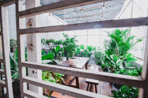 a view of a greenhouse filled with plants at CAMP Dakao a curated accomodation in Ho Chi Minh City