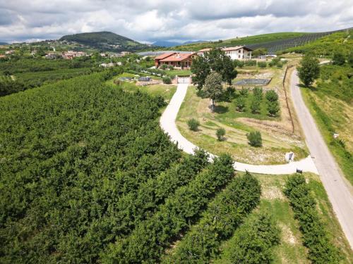 an aerial view of a farm with a road at La Collina dei Ciliegi in San Mauro di Saline