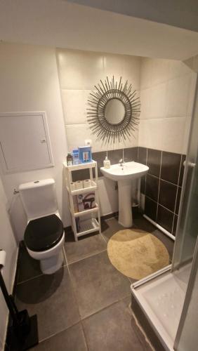 bagno con lavandino, servizi igienici e specchio di Givors Centre Duplex meublé a Givors