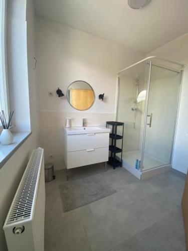 bagno con lavandino e doccia con specchio di Bluestone Appartements - 23qm free and near parking a Blaustein