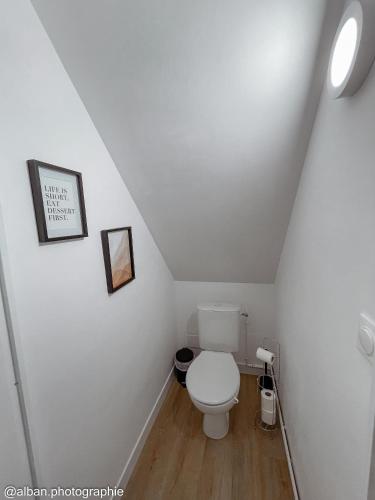 La salle de bains mansardée est pourvue de toilettes blanches. dans l'établissement Cottage LE NID à quelques pas du lac de la forêt d'Orient - Les Cottages du Belvédère, à Mesnil-Saint-Père