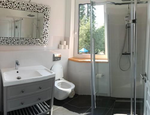 uma casa de banho com um WC, um lavatório e um chuveiro em Sonnenhaus em Joachimsthal