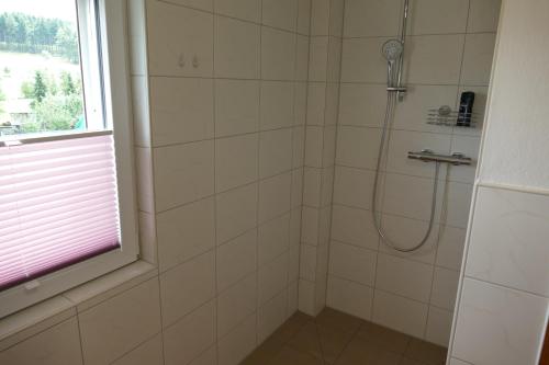 y baño con ducha y ventana. en Zum Wiesengrund Blecher en Breidenbach