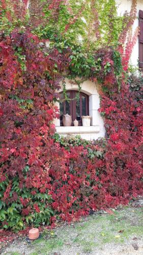 Gallery image of Clos des Ecureuils in Bouillé-Loretz