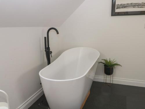 a white bath tub in a bathroom with a plant at Bodlywydd Fawr - Annexe in Ruthin