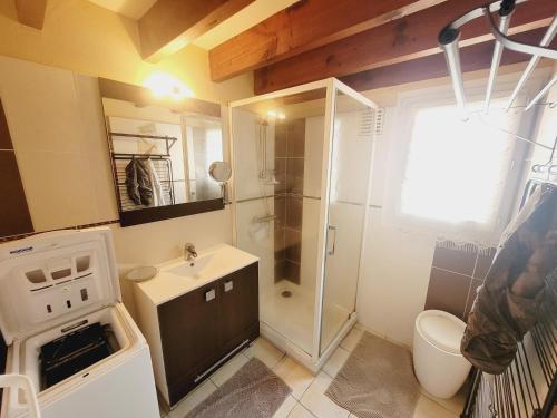 een kleine badkamer met een wastafel en een douche bij Le Clapotis in Mimizan
