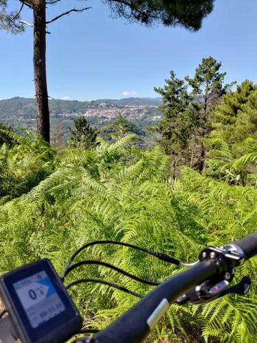 a bike with a speedometer sitting on a field of grass at Albergo Diffuso IL MIGLIO in Miglierina