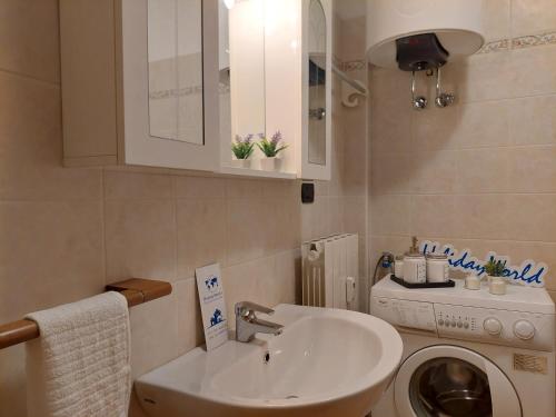 a bathroom with a sink and a washing machine at Casa Nevosa by Holiday World in Prato Nevoso