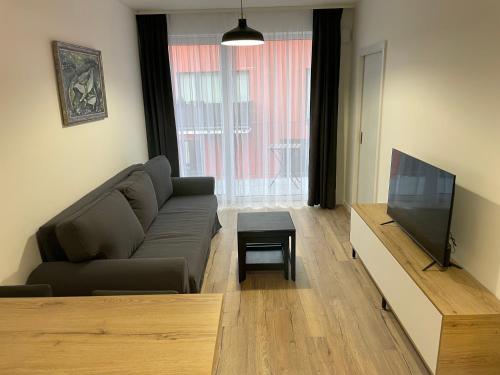 Apartmán Gréner في سفيت: غرفة معيشة مع أريكة وتلفزيون بشاشة مسطحة