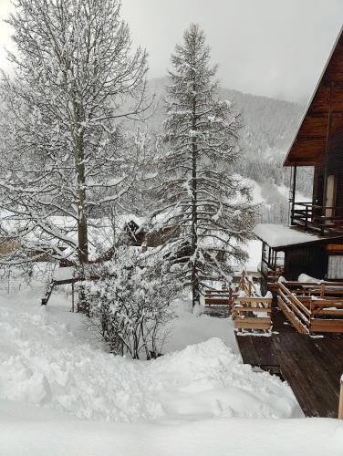 a snow covered yard next to a cabin with trees at Chambre d'hôtes Chalet AILLEURS in Molines-en-Queyras