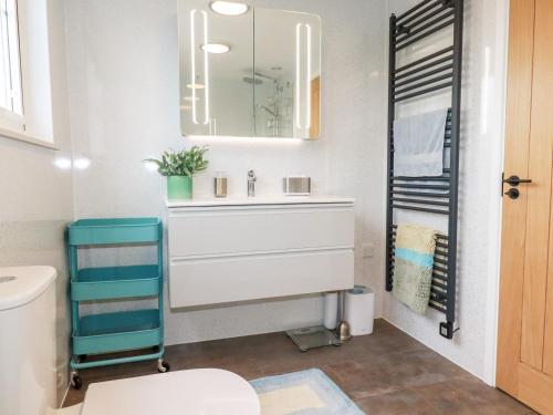 een badkamer met een witte wastafel en een spiegel bij Lemon Tree in Falmouth