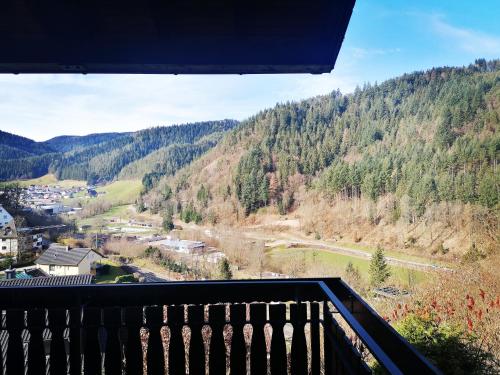 a view from a balcony of a valley with trees at Haus Schwarzwaldblick in Hornberg