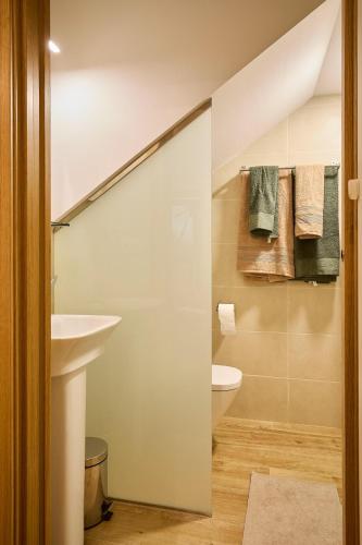 a bathroom with a toilet and a sink at Lagares de Riooja-Briñas in Briñas
