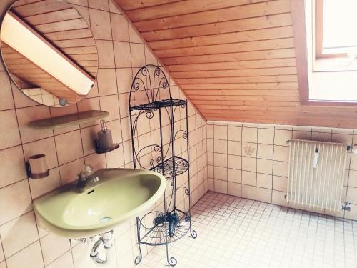 a bathroom with a green sink in a room at Haus Schwarzwaldblick in Hornberg