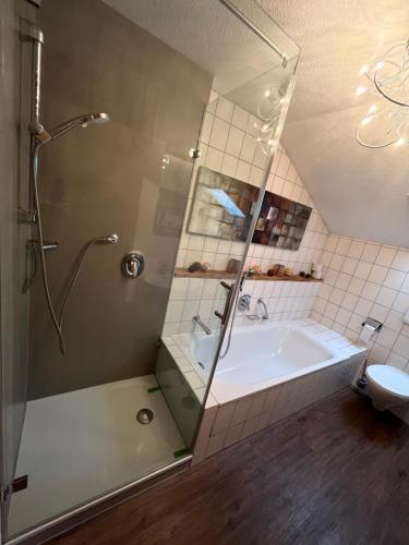 a bathroom with a shower and a tub and a sink at Ferienwohnung Alpine Style in Oberstdorf