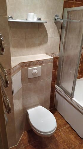 un baño con inodoro y ducha en Visaginas Taikos 84, en Visaginas