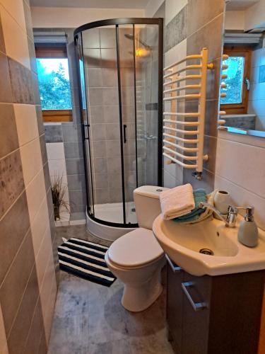 ein Bad mit einer Dusche, einem WC und einem Waschbecken in der Unterkunft U Hanki in Biały Dunajec
