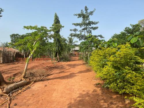 un camino de tierra en un campo con árboles y arbustos en Jardin Nature, en Bopa