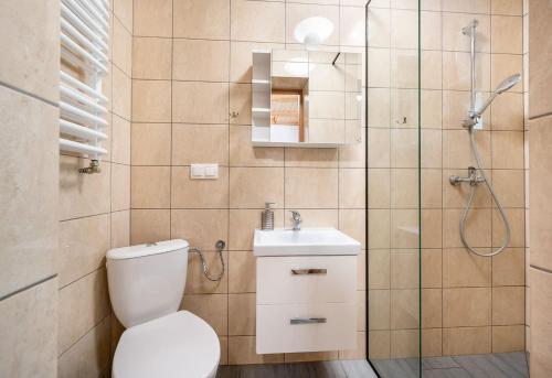 uma casa de banho com um WC, um lavatório e um chuveiro em APARTAMENTY STODOŁA em Jezierzany
