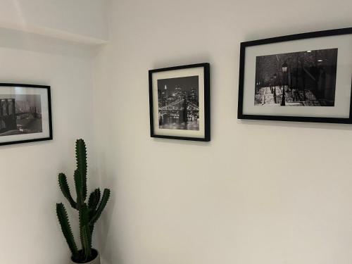 Un mur avec trois photos et un cactus. dans l'établissement le Jasmin appart spacieux hyper centre /netflix, à Bourg-en-Bresse