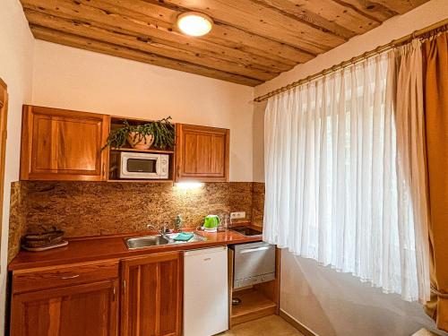 Dapur atau dapur kecil di Apartmány Limba