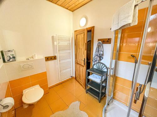 a bathroom with a toilet and a shower at Apartmány Limba in Belá