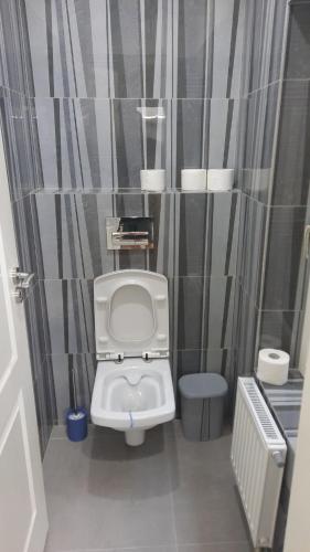 a small bathroom with a toilet and a radiator at City Grand Apartman in Szombathely