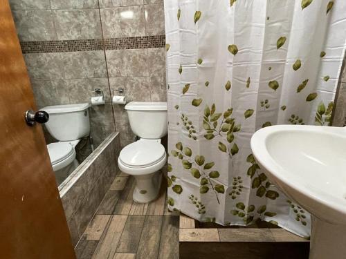 a bathroom with a toilet and a sink and a shower curtain at Hostal Los Salares in Antofagasta