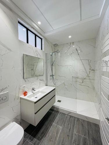 une salle de bain blanche avec un lavabo et des toilettes dans l'établissement cote sud deux chambres proche croisette, à Cannes