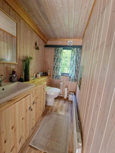 La salle de bains est pourvue de toilettes et d'un lavabo. dans l'établissement Forest Cottage, à Fluberg