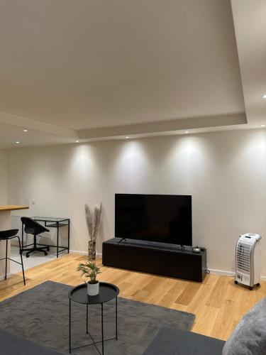 Televízia a/alebo spoločenská miestnosť v ubytovaní Super appartement refait à neuf beaucoup de charme