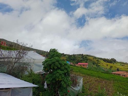 a view of a hill with a house and a tree at Casa Rural Zaba Lago de Tota in Aquitania