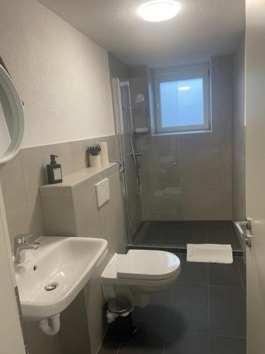 uma casa de banho com um chuveiro, um WC e um lavatório. em Die Perle am Rhein em Waldshut-Tiengen